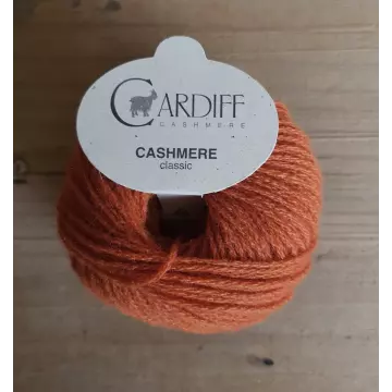 Cardiff Cashmere classic Farbe 675 Take